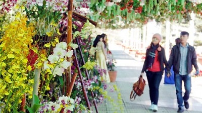   Ouverture de la fête florale et journalistique de l’année du Cheval 2014 - ảnh 2